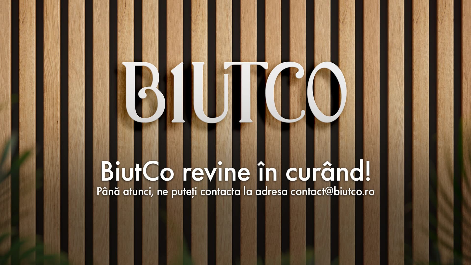 BiutCo Coming Soon