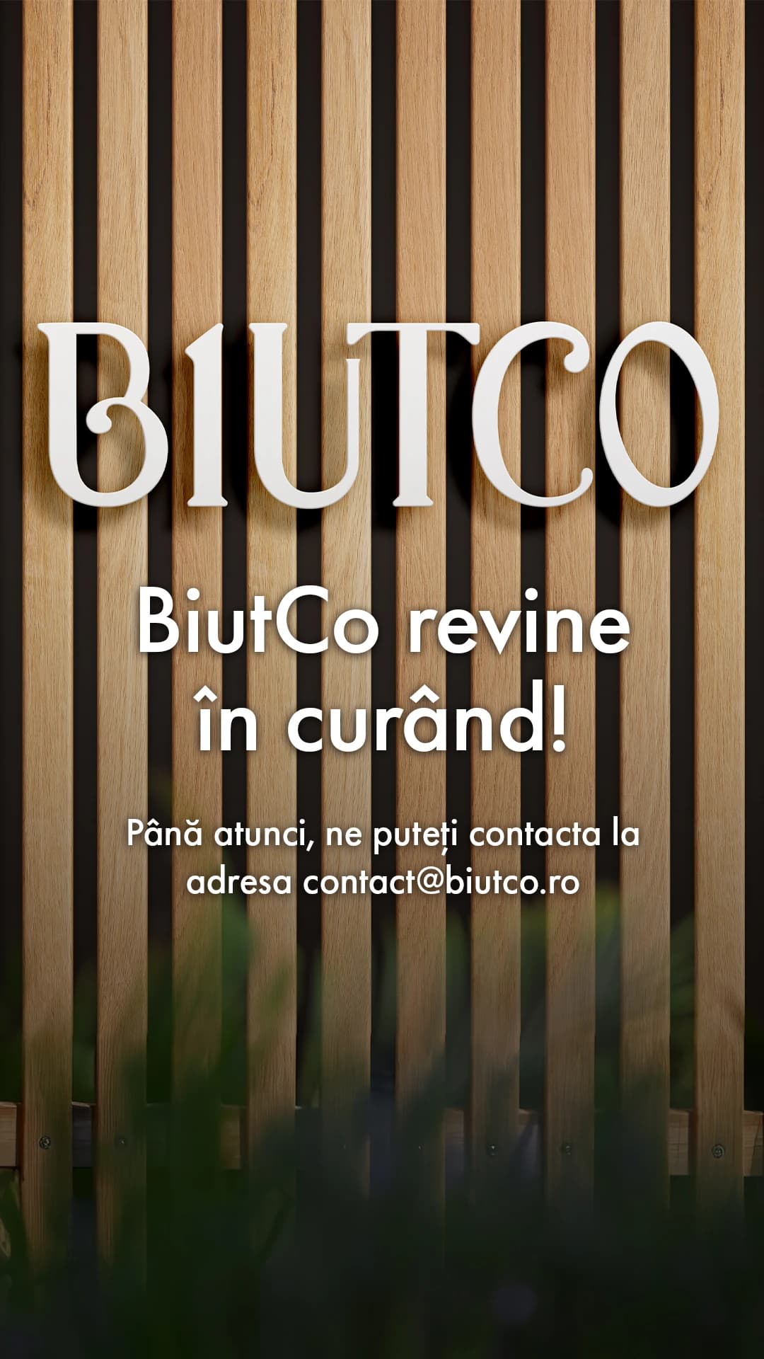 BiutCo Coming Soon
